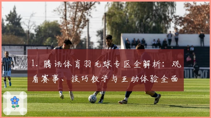 1. 腾讯体育羽毛球专区全解析：观看赛事、技巧教学与互动体验全面升级